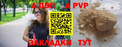 стафф Камышлов
