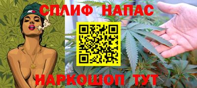 стафф Камышлов