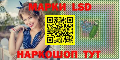 стафф Камышлов