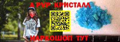 стафф Камышлов