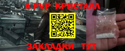 стафф Камышлов