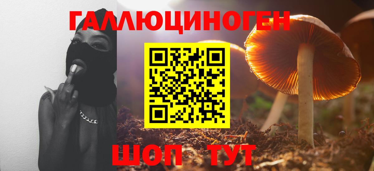 Псилоцибиновые грибы Psilocybe  Вход с VPN  Буйнакск 